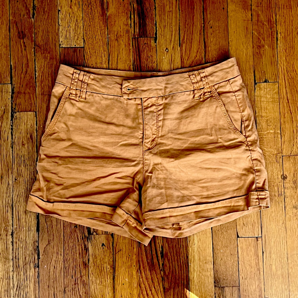 Anthropologie Burnt Orange Shorts